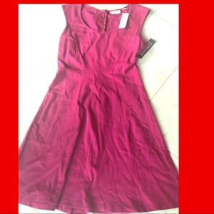 NWT New York Company Dress knit